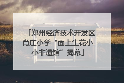 郑州经济技术开发区肖庄小学“面上生花小小非遗馆”揭幕
