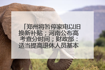郑州将暂停家电以旧换新补贴；河南公布高考查分时间；财政部：适当提高退休人员基本养老金丨大象早报