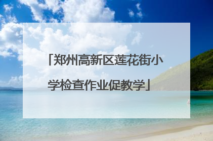 郑州高新区莲花街小学检查作业促教学