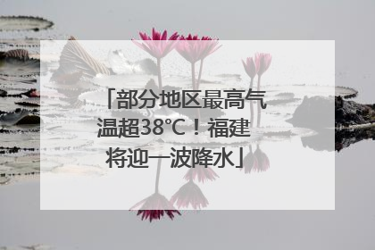 部分地区最高气温超38℃！福建将迎一波降水