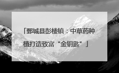 鄄城县彭楼镇：中草药种植打造致富“金钥匙”