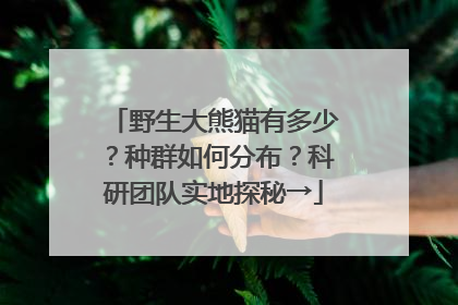 野生大熊猫有多少？种群如何分布？科研团队实地探秘→