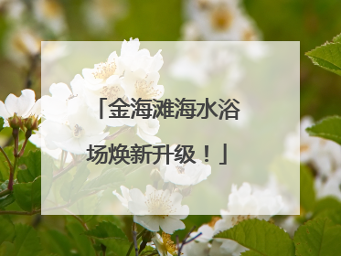 金海滩海水浴场焕新升级！