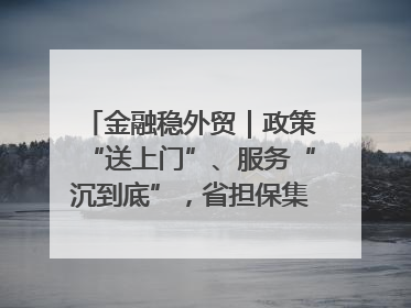 金融稳外贸｜政策“送上门”、服务“沉到底”，省担保集团加力支持外经贸高质量发展