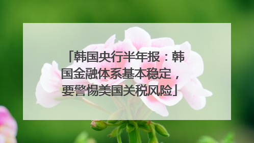 韩国央行半年报：韩国金融体系基本稳定，要警惕美国关税风险