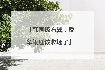 韩国极右翼，反华闹剧该收场了