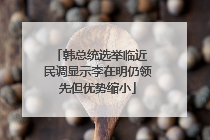 韩总统选举临近 民调显示李在明仍领先但优势缩小