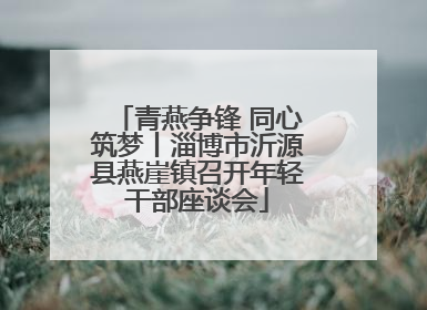 青燕争锋 同心筑梦丨淄博市沂源县燕崖镇召开年轻干部座谈会