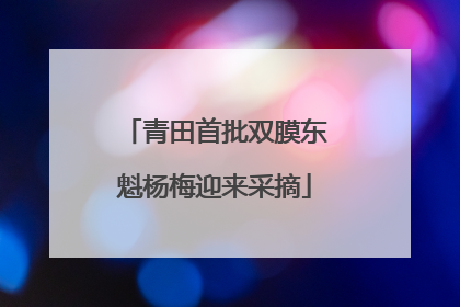 青田首批双膜东魁杨梅迎来采摘