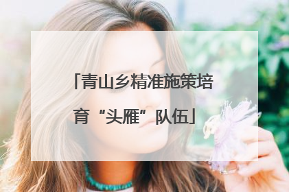 青山乡精准施策培育“头雁”队伍