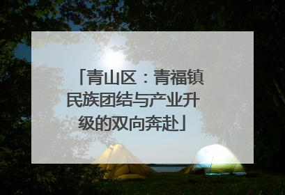 青山区：青福镇民族团结与产业升级的双向奔赴