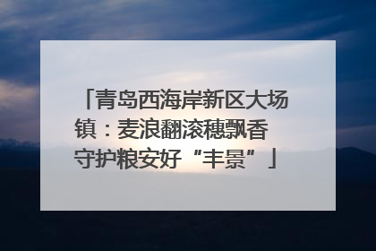 青岛西海岸新区大场镇：麦浪翻滚穗飘香 守护粮安好“丰景”