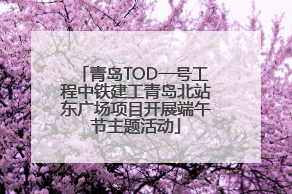 青岛TOD一号工程中铁建工青岛北站东广场项目开展端午节主题活动