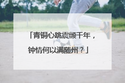 青铜心跳震颤千年，钟情何以满随州？