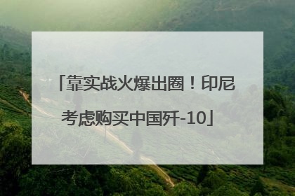 靠实战火爆出圈！印尼考虑购买中国歼-10