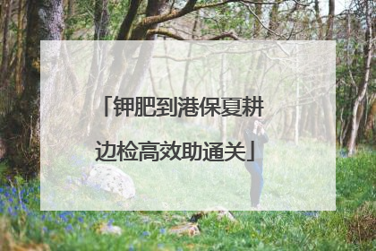 钾肥到港保夏耕 边检高效助通关