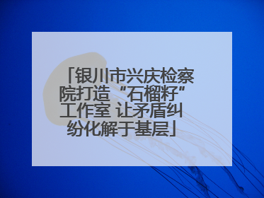 银川市兴庆检察院打造“石榴籽”工作室 让矛盾纠纷化解于基层
