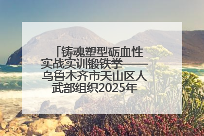 铸魂塑型砺血性 实战实训锻铁拳——乌鲁木齐市天山区人武部组织2025年度民兵集中轮训