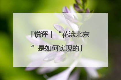 锐评｜“花漾北京”是如何实现的