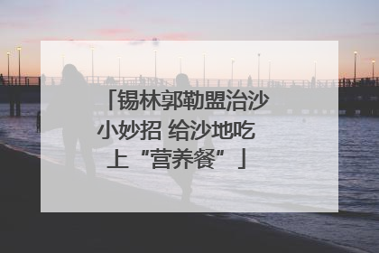 锡林郭勒盟治沙小妙招 给沙地吃上“营养餐”