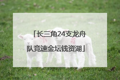 长三角24支龙舟队竞速金坛钱资湖