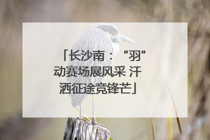 长沙南：“羽”动赛场展风采 汗洒征途竞锋芒