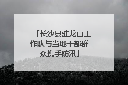 长沙县驻龙山工作队与当地干部群众携手防汛