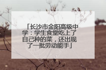 长沙市金阳高级中学：学生食堂吃上了自己种的菜，还出现了一批劳动能手