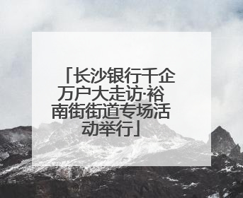 长沙银行千企万户大走访·裕南街街道专场活动举行