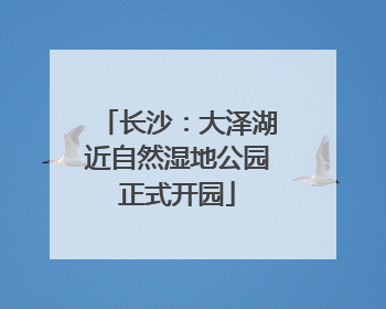 长沙：大泽湖近自然湿地公园正式开园