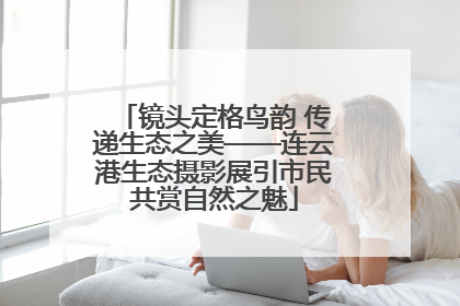 镜头定格鸟韵 传递生态之美——连云港生态摄影展引市民共赏自然之魅