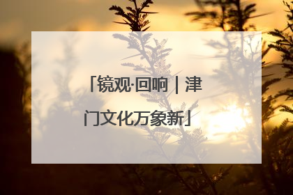 镜观·回响｜津门文化万象新