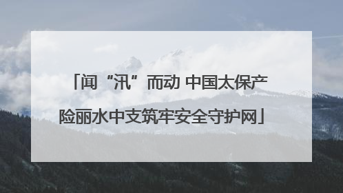 闻“汛”而动 中国太保产险丽水中支筑牢安全守护网