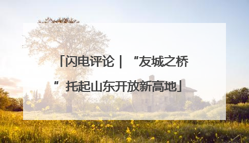 闪电评论｜“友城之桥”托起山东开放新高地