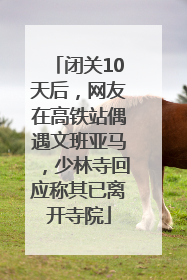 闭关10天后，网友在高铁站偶遇文班亚马，少林寺回应称其已离开寺院