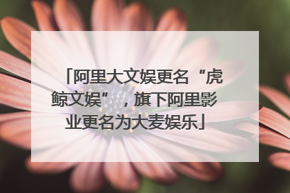 阿里大文娱更名“虎鲸文娱”，旗下阿里影业更名为大麦娱乐