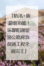 防汛+旅游双功能！环鄱阳湖堤顶公路应急保通工程全面完工