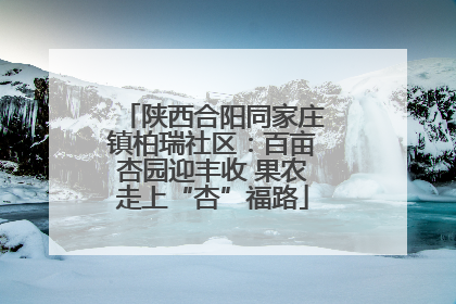 陕西合阳同家庄镇柏瑞社区：百亩杏园迎丰收 果农走上“杏”福路
