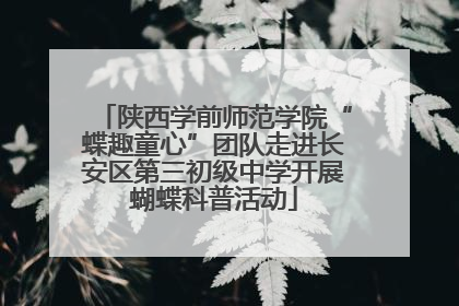 陕西学前师范学院“蝶趣童心”团队走进长安区第三初级中学开展蝴蝶科普活动