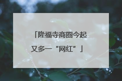 隆福寺商圈今起又多一“网红”