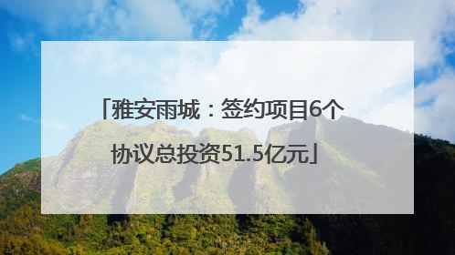 雅安雨城：签约项目6个 协议总投资51.5亿元