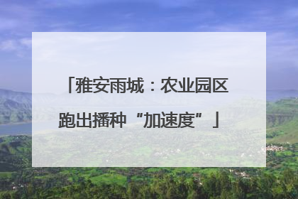 雅安雨城：农业园区跑出播种“加速度”
