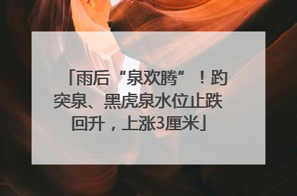 雨后“泉欢腾”！趵突泉、黑虎泉水位止跌回升，上涨3厘米