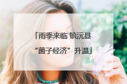 雨季来临 镇沅县“菌子经济”升温