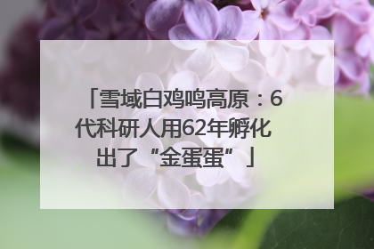 雪域白鸡鸣高原：6代科研人用62年孵化出了“金蛋蛋”