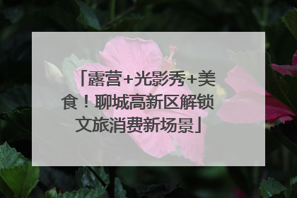 露营+光影秀+美食！聊城高新区解锁文旅消费新场景