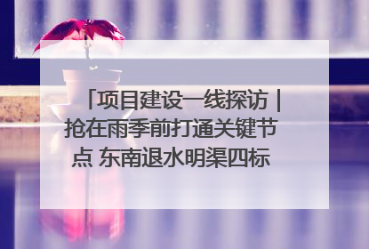 项目建设一线探访｜抢在雨季前打通关键节点 东南退水明渠四标段项目顺利完工