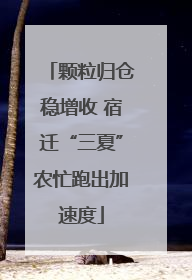 颗粒归仓稳增收 宿迁“三夏”农忙跑出加速度