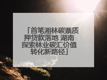 首笔湘林碳票质押贷款落地 湖南探索林业碳汇价值转化新路径