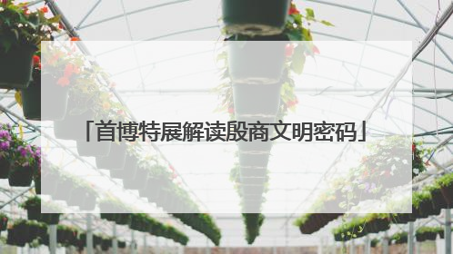 首博特展解读殷商文明密码